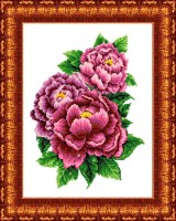 КК 025 Розовые пионы.Канва с нанесенным рисунком для вышивки крестом 23х30 см
